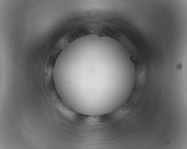 X0000112520574200908311400