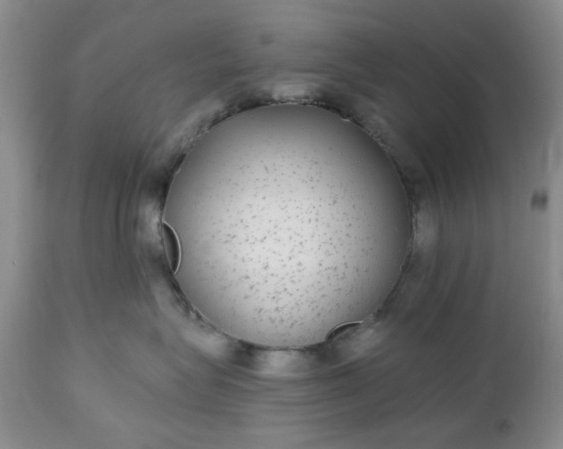 X0000112520575200908311400