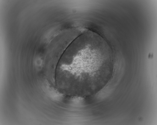 X0000112520576200908311400