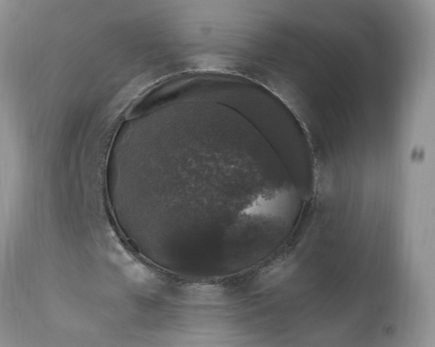 X0000112520577200908311359