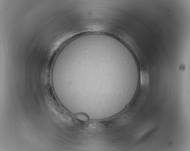 X0000112520579200908311359