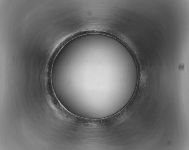 X0000112520580200908311359