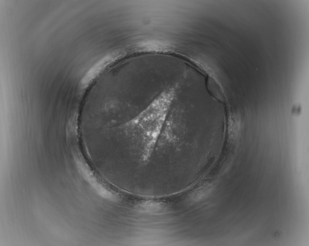 X0000112520581200908311359