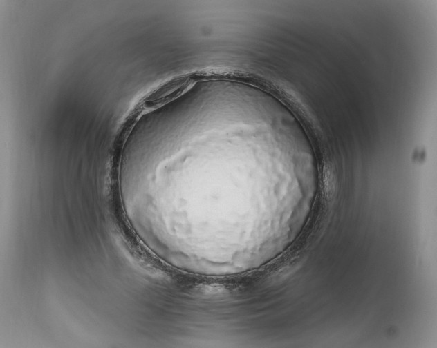 X0000112520588200908311359