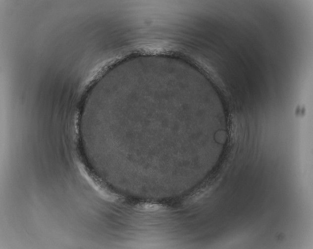 X0000112520590200908311359