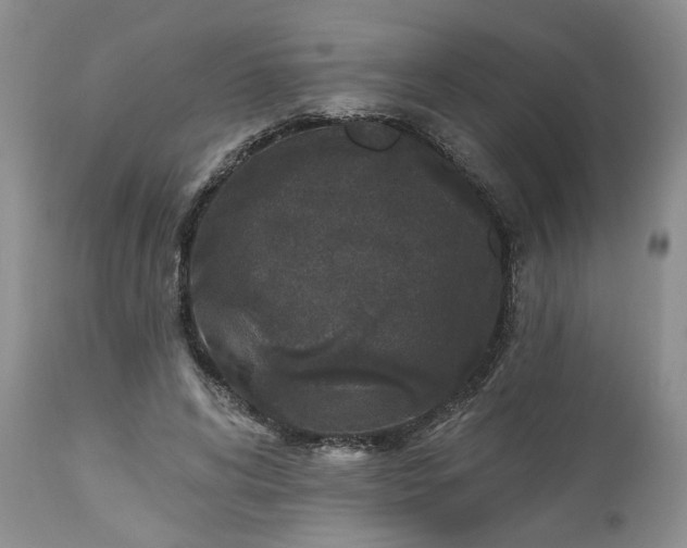 X0000112520592200908311359