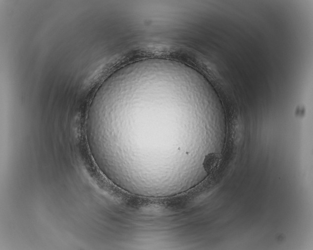 X0000112520594200908311359
