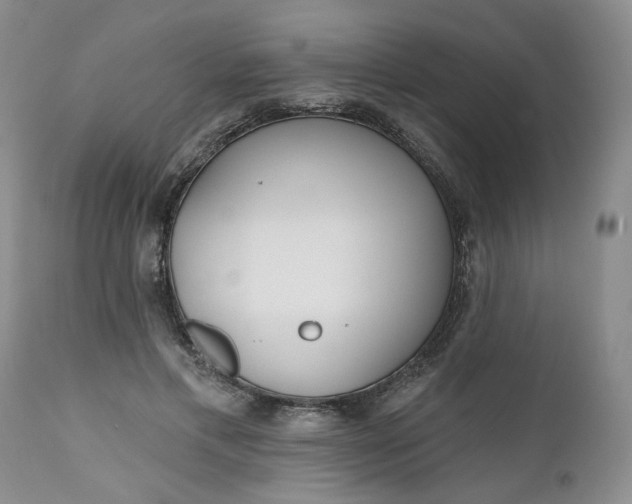 X0000112520597200908311359
