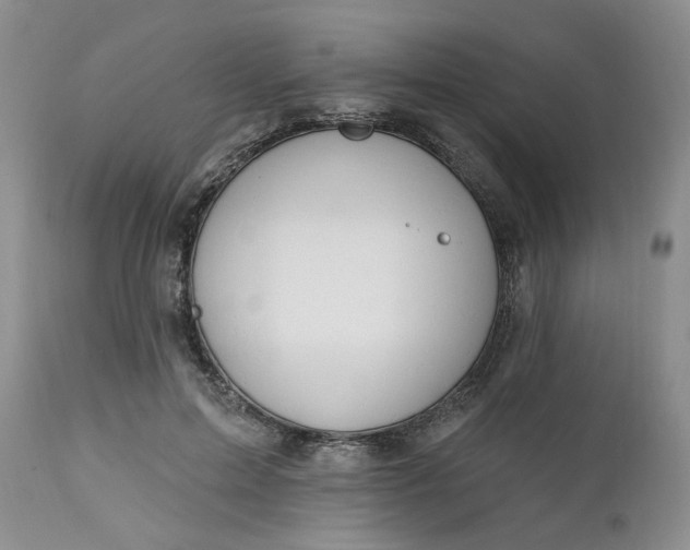 X0000112520599200908311359