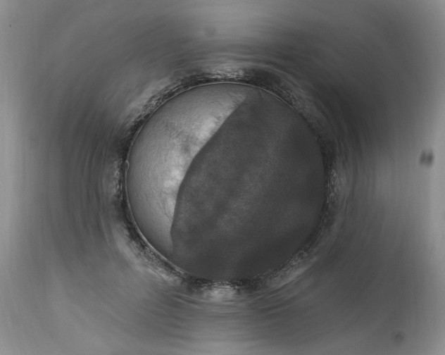 X0000112520600200908311359