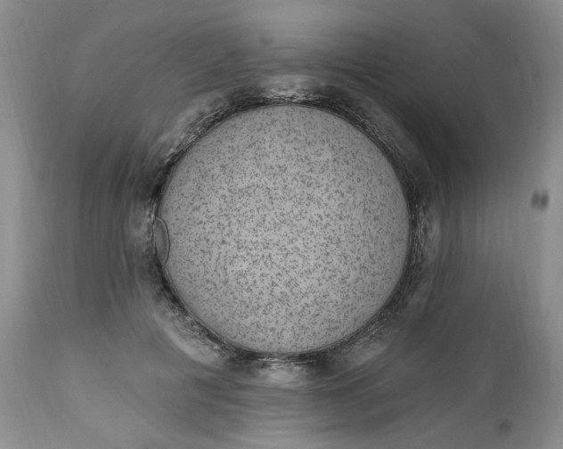 X0000112520601200908311359