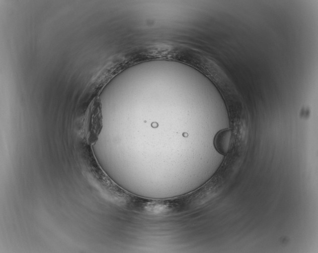X0000112520602200908311359