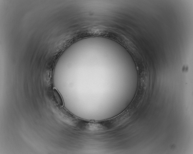 X0000112520605200908311359