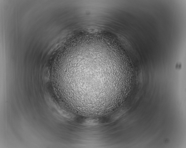 X0000112520606200908311359