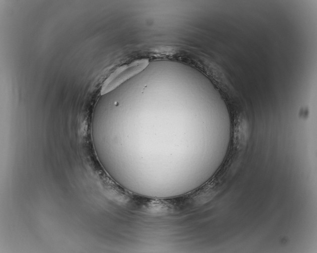 X0000112520608200908311359