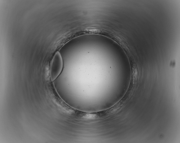 X0000112520609200908311359