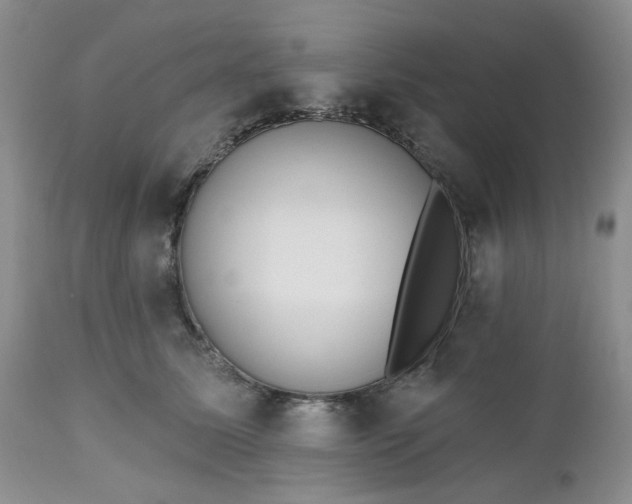 X0000112520611200908311359