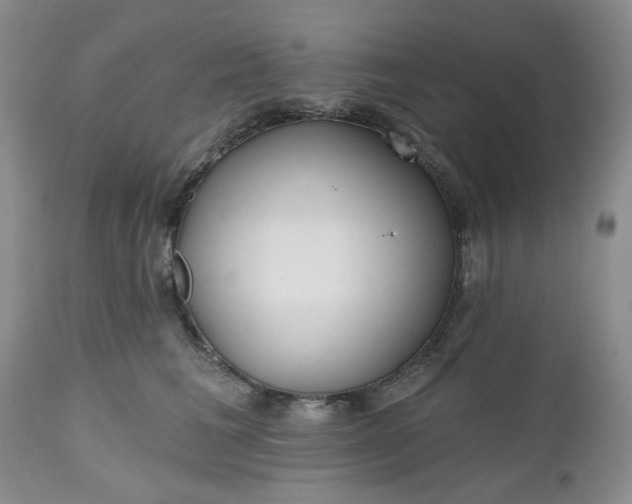 X0000112520613200908311359