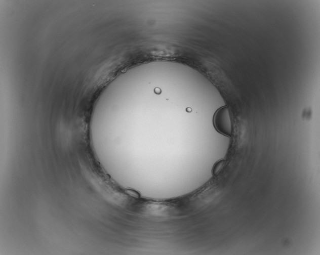 X0000112520614200908311359
