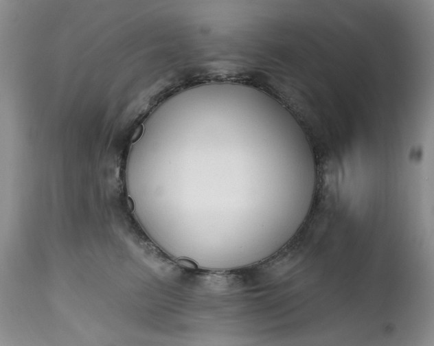 X0000112520615200908311359