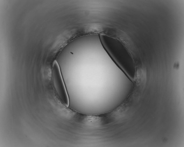X0000112520617200908311359