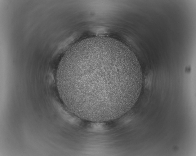 X0000112520618200908311359