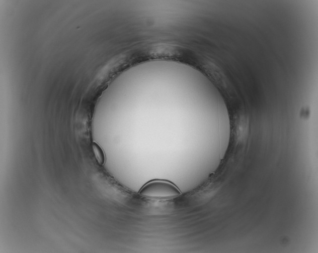 X0000112520619200908311359