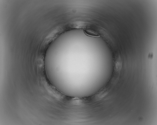 X0000112520620200908311359