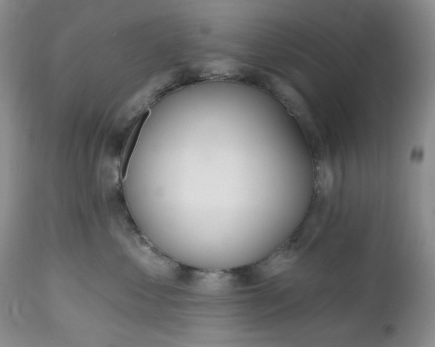 X0000112520621200908311359