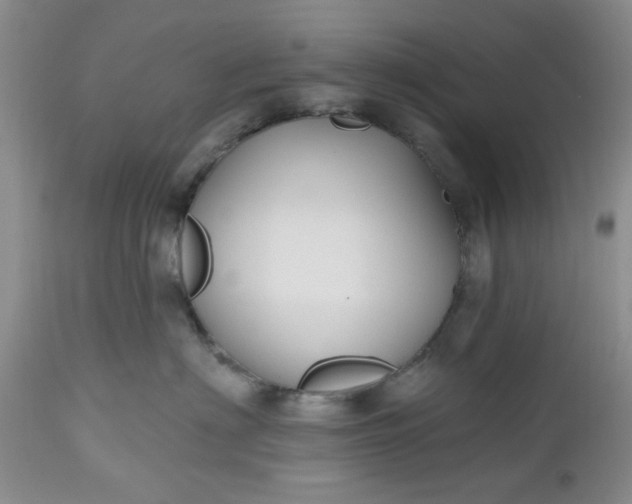 X0000112520622200908311359
