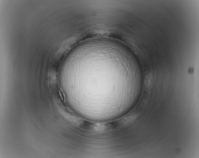 X0000112520623200908311359