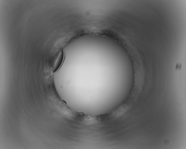 X0000112520624200908311359