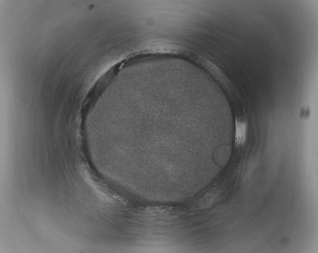 X0000112520627200908311358