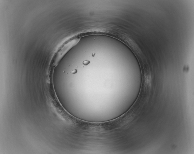 X0000112520628200908311358