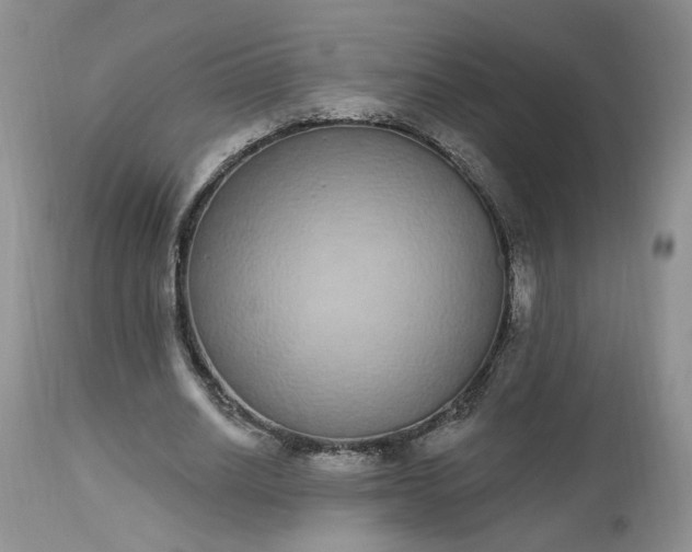 X0000112520630200908311358