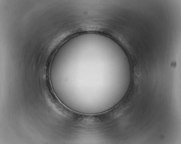 X0000112520631200908311358