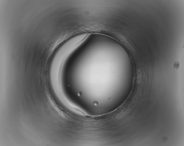 X0000112520634200908311358