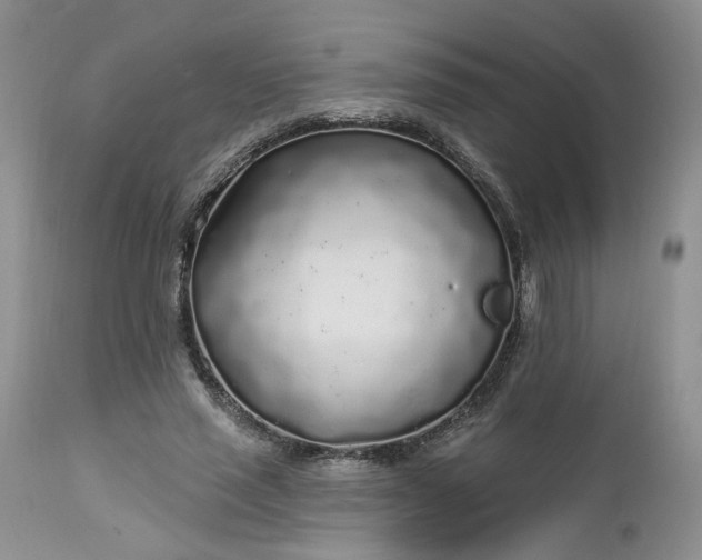 X0000112520637200908311358