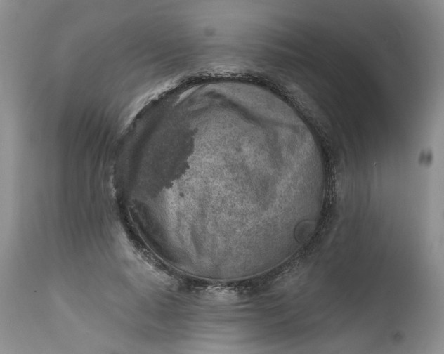 X0000112520640200908311358