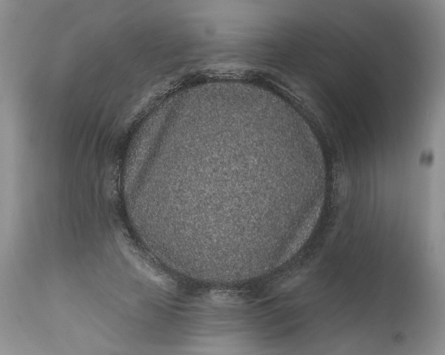 X0000112520641200908311358