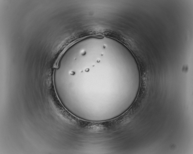 X0000112520642200908311358