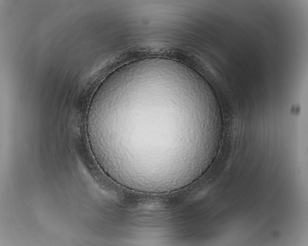 X0000112520643200908311358