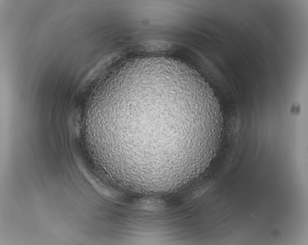 X0000112520644200908311358