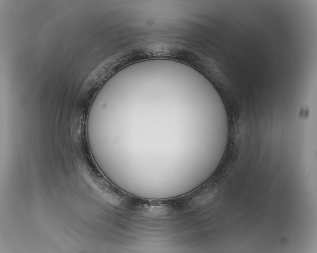 X0000112520645200908311358