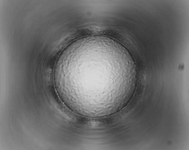 X0000112520650200908311358