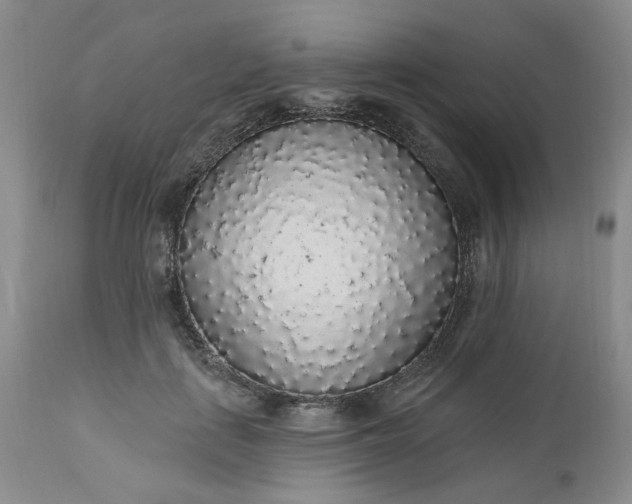 X0000112520651200908311358