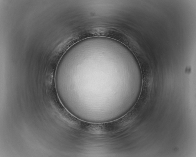 X0000112520652200908311358