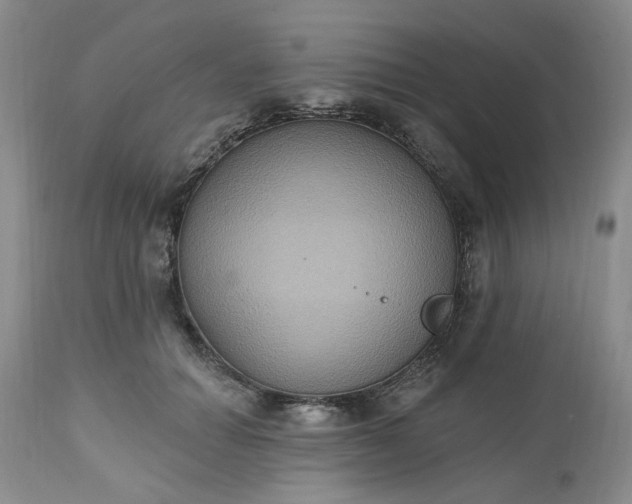 X0000112520654200908311358