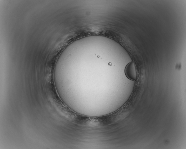 X0000112520656200908311358