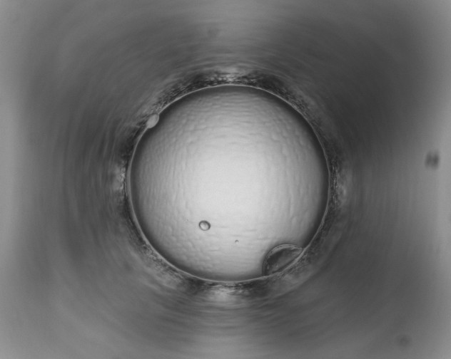 X0000112520657200908311358